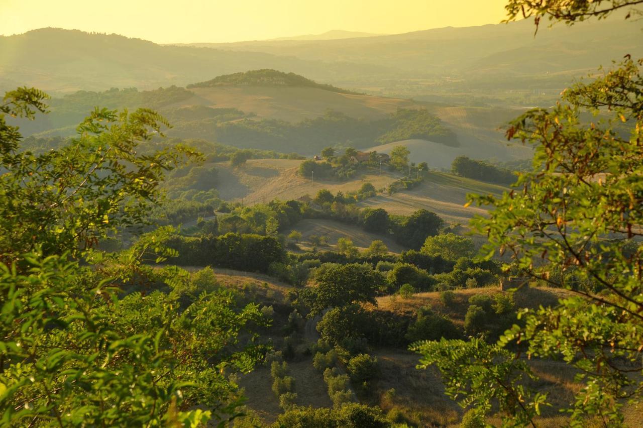Castello Ginori Di Querceto Διαμέρισμα Εξωτερικό φωτογραφία