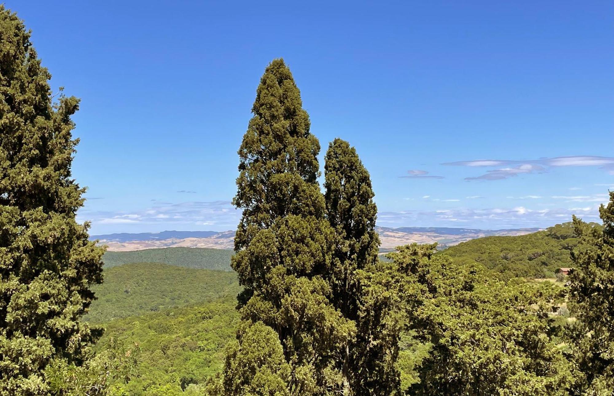 Castello Ginori Di Querceto Διαμέρισμα Εξωτερικό φωτογραφία